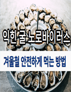 익힌굴 굴김치 노로바이러스 안전하게 먹는 방법