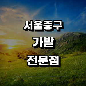 서울 중구 가발