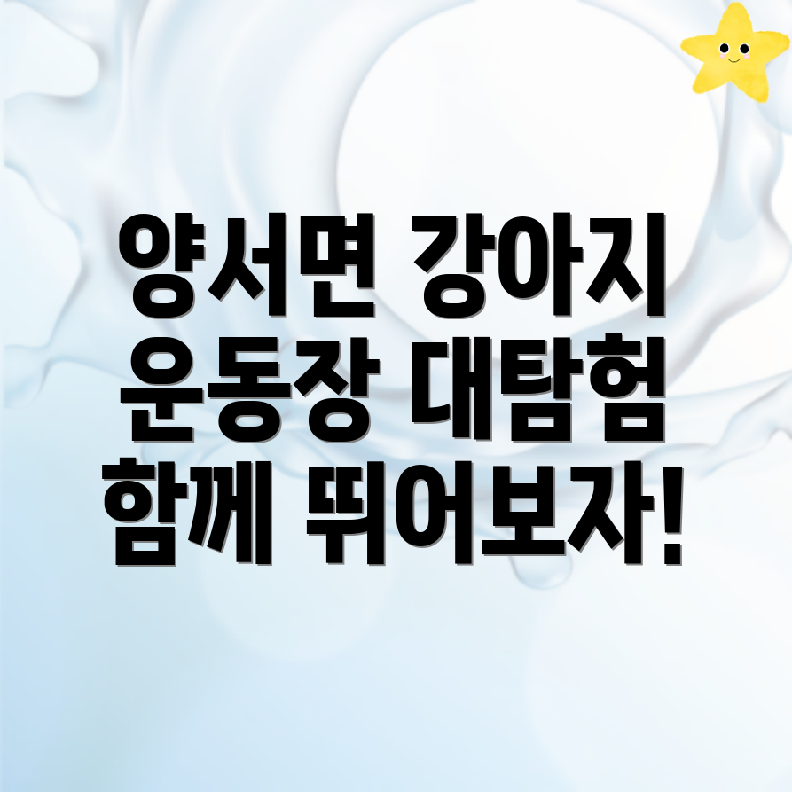강아지 운동장