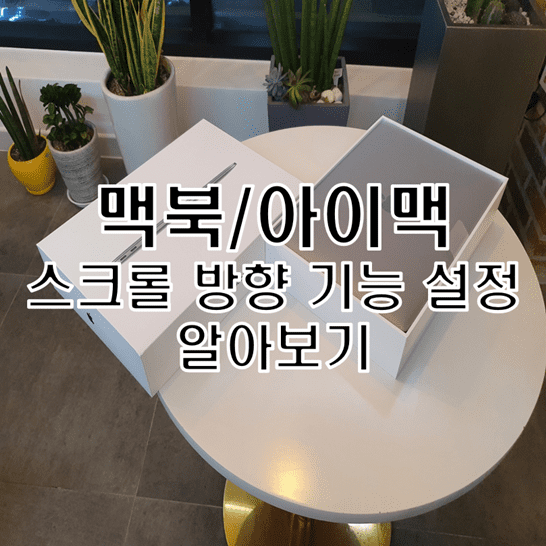  맥북 또는 아이맥에서 스크롤 방향 기능 설정 방법