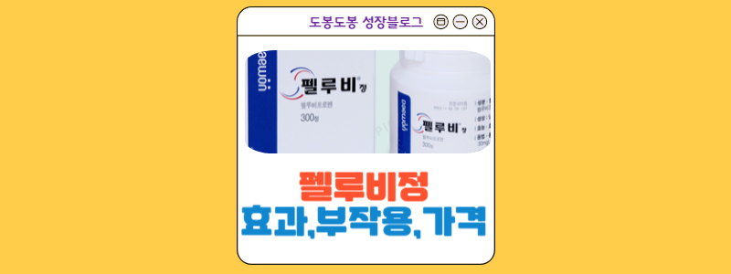  펠루비정 타이레놀 차이점 : 부작용,성분,효과까지 조사