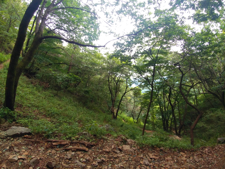 한국 명산 충남 아산 광덕산 등산 mountain hiking