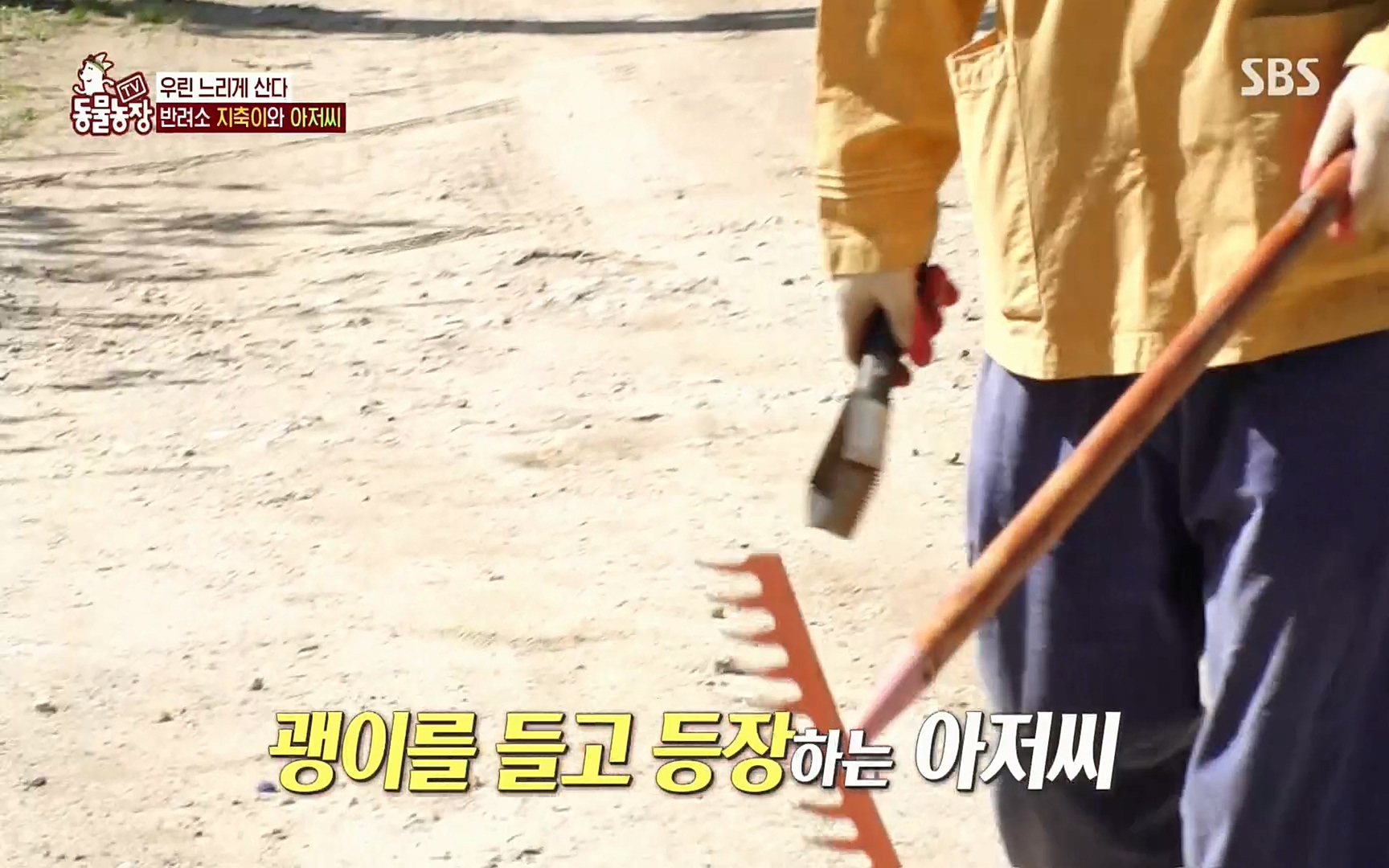 TV 동물농장.E1074.220619p.H264-F1RST.mp4_20220619_181149.584.jpg