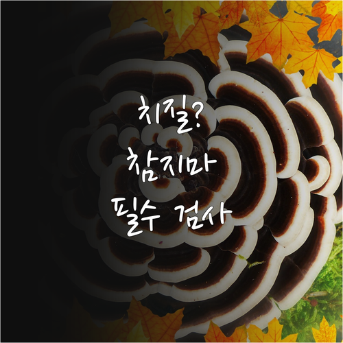 치질 검사 중요성과 다양한 방법 완벽
