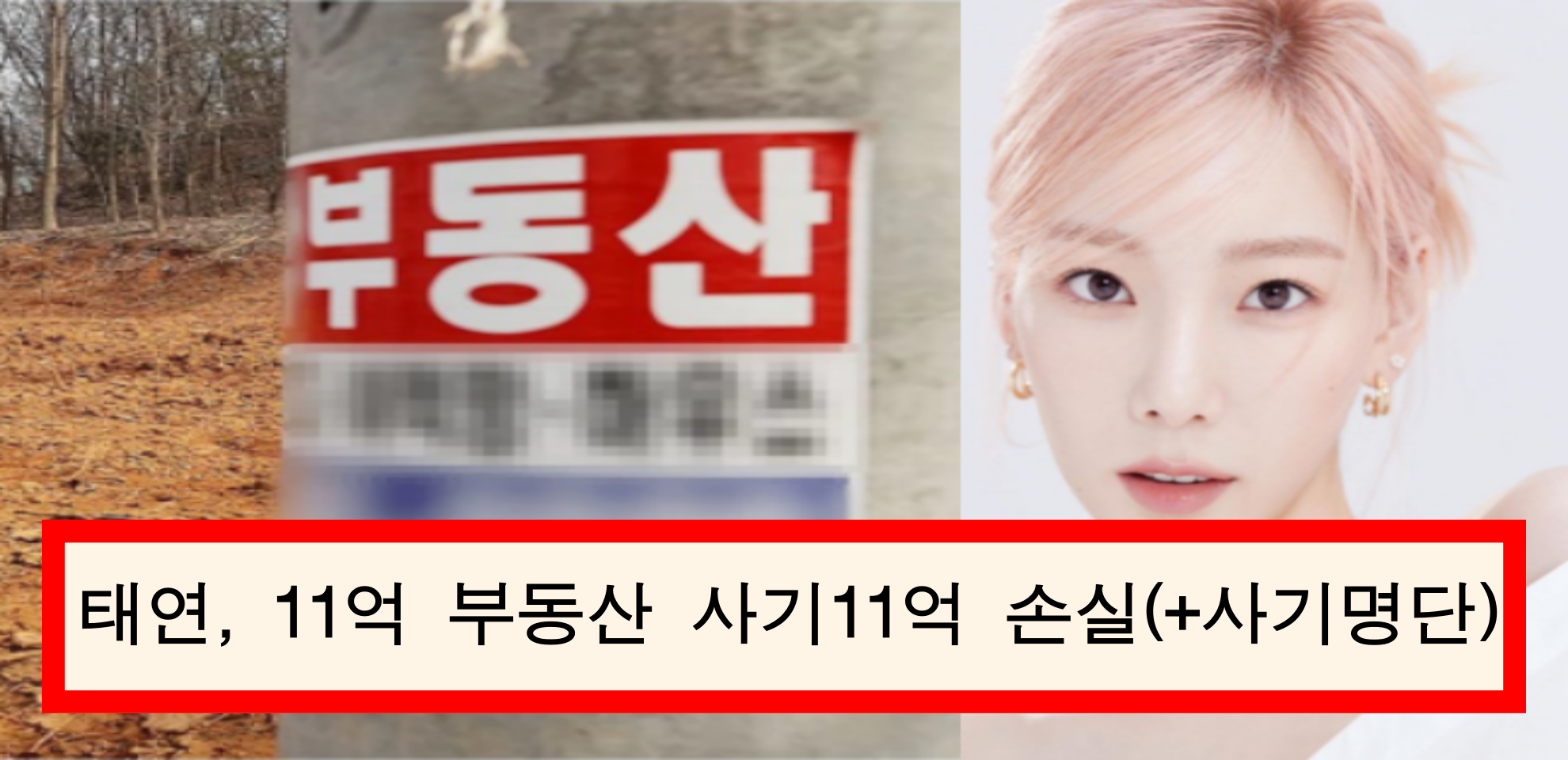  소녀시대 멤버 2500억대 부동산 사기