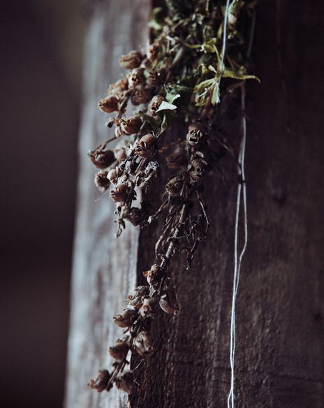 해골모양 금어초를 현관에 달아 놓은 장면