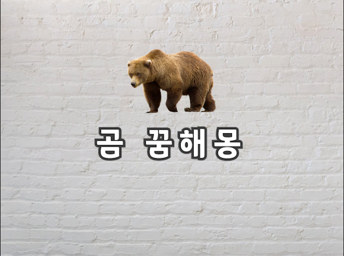  곰 꿈해몽 곰 꿈을 꿨을 때 보고 가면 아주 좋은 정보들