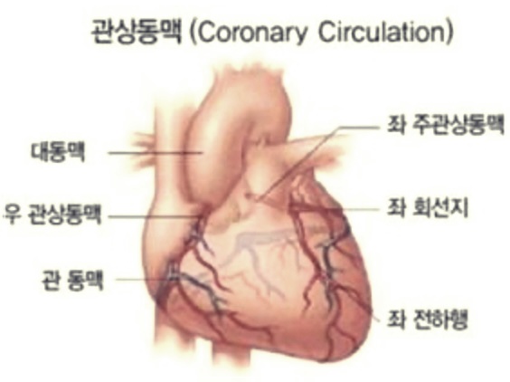 변이형 협심증과 좋은 운동: 원인과 치료 방법을 함께 고려하기