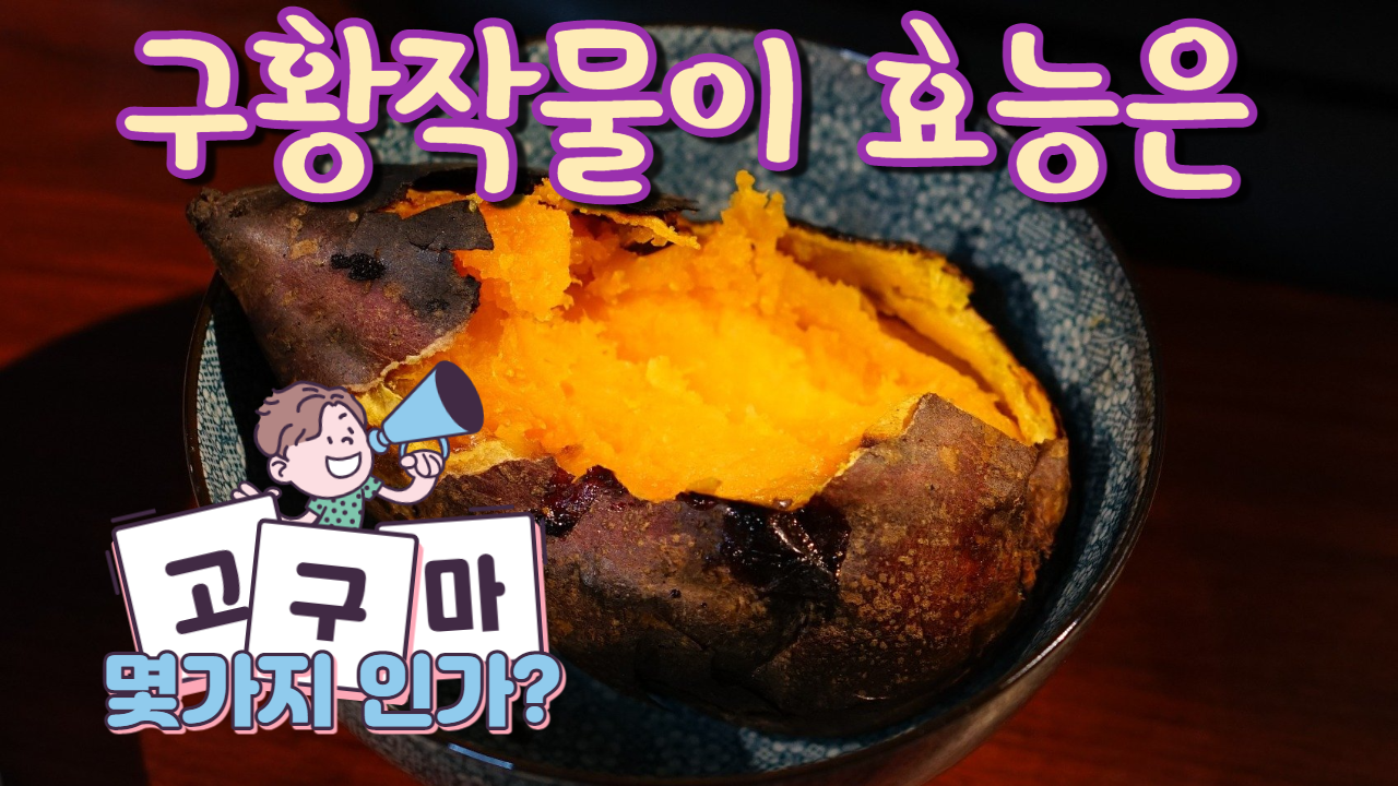  고구마의 효능