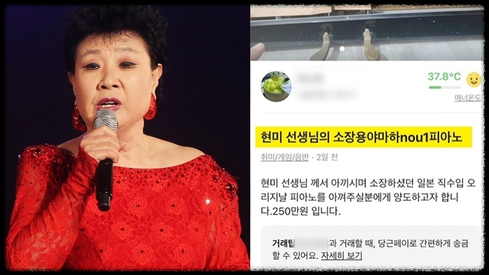  故 현미 애지중지 피아노 당근 매물로 나왔다가 사라진 이유