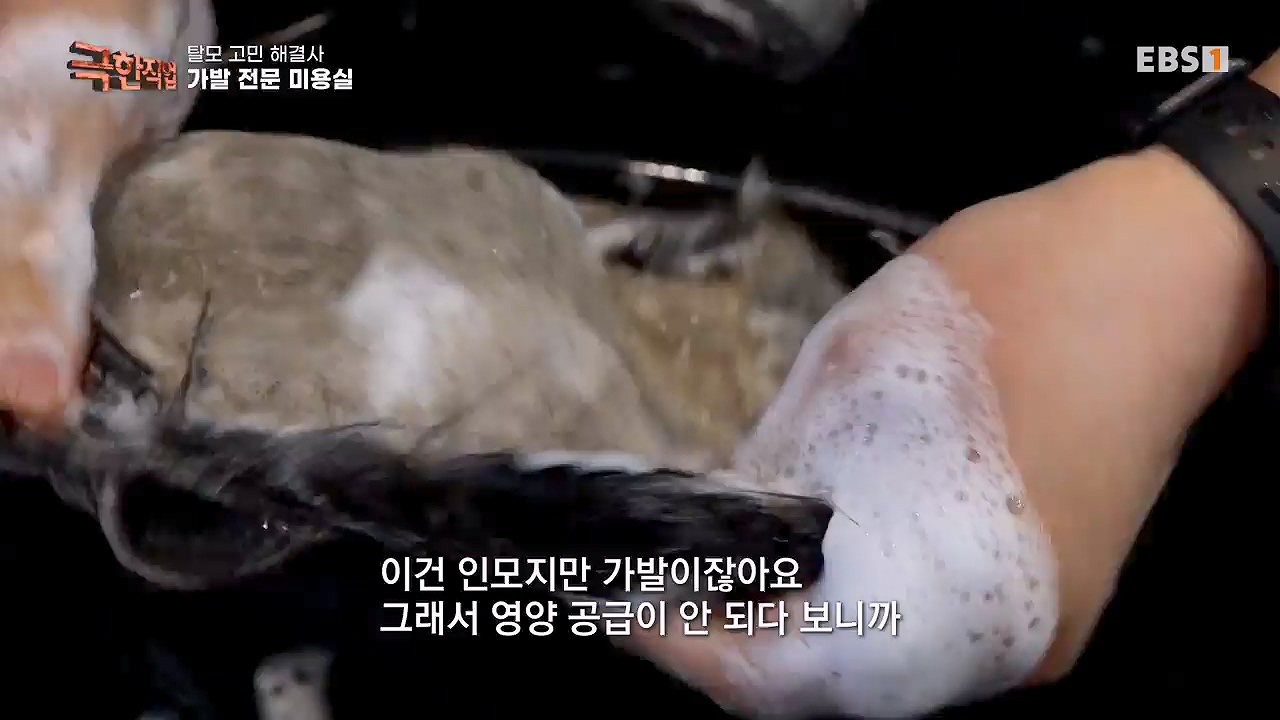 TV - 전 국민의 평생학교 EBS탈모 고민 해결사.mp4_20230508_195804.073.jpg