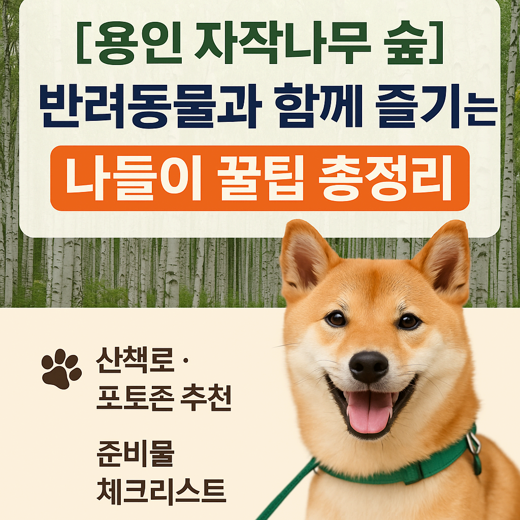 [용인 자작나무 숲] 반려동물과 함께 즐기는 나들이 꿀팁 총정리!