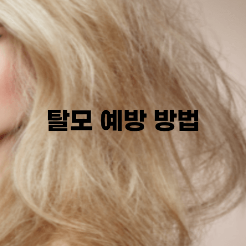  탈모 예방 방법