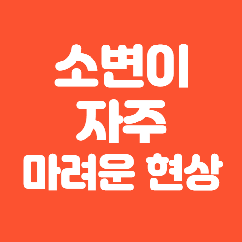  소변이 자주 마려운 증상