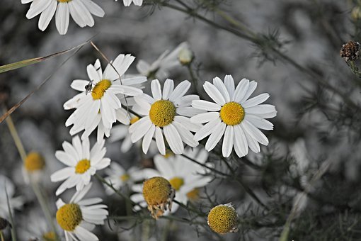 img.jpg