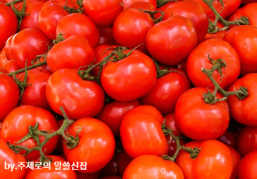 소화 잘 되는 음식 토마토