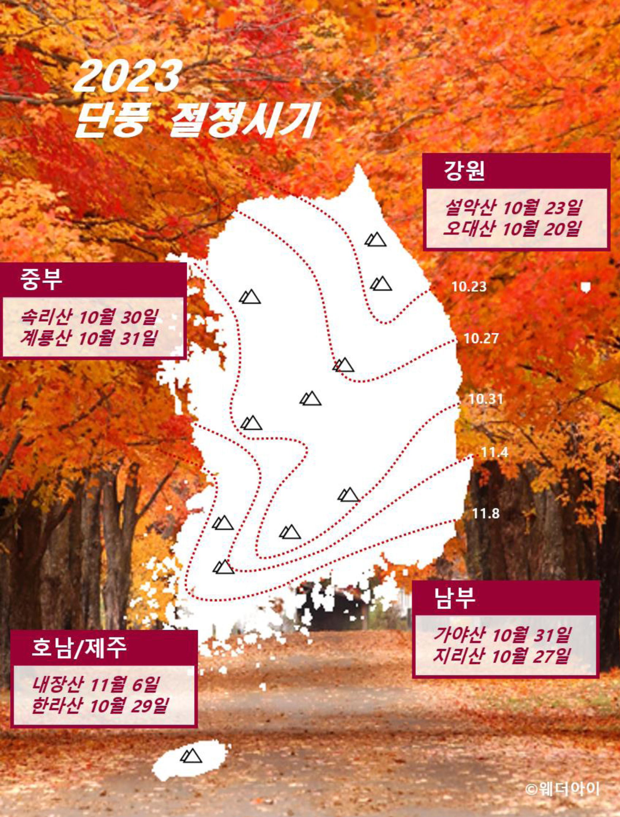 2023년 단풍절정시기