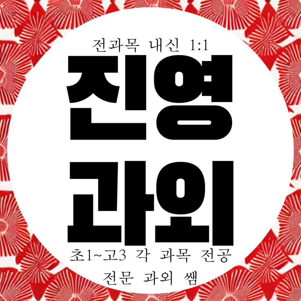  진영 고등 영어과외 중학생 제일고 내신 수학과외 국어 영수 과학 물리 화학
