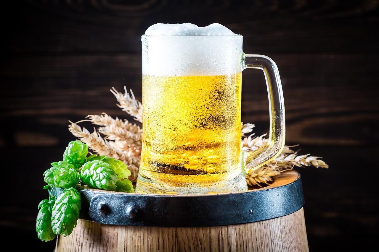 6월 전국 맥주 축제, 놓치지 마세요!