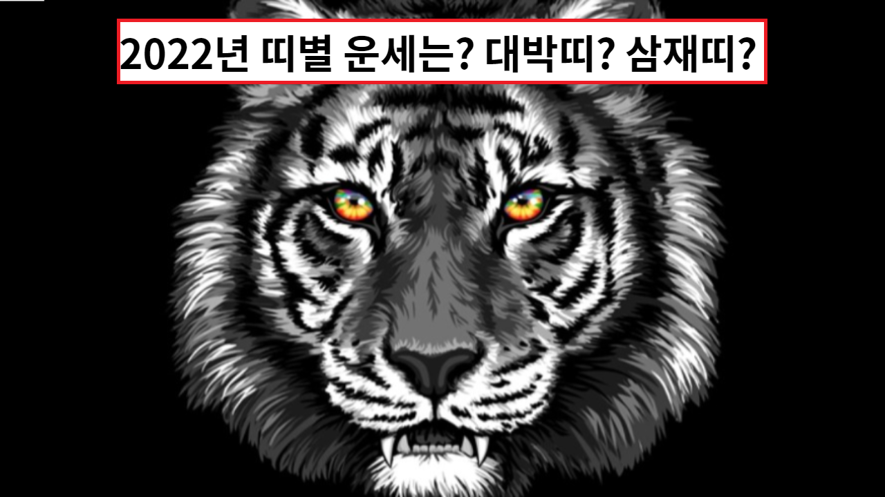  2022년 띠별 운세 보기, 올해 대박띠와 삼재띠는?