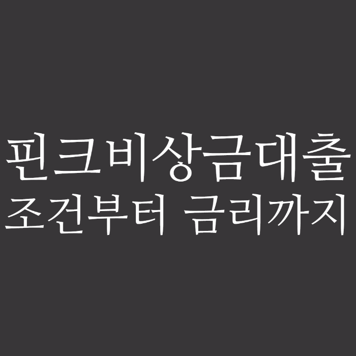 핀크비상금대출