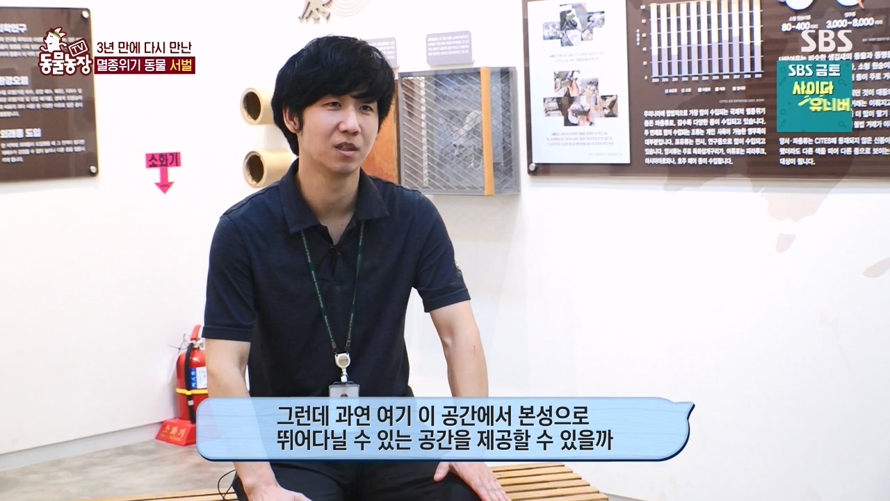 TV 동물농장.E1156.240129p-NEXT.mp4_20240128_191735.827.jpg