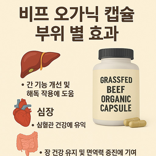 비프 오가닉 캡슐 부위 별 효과 (간, 심장, 신장)