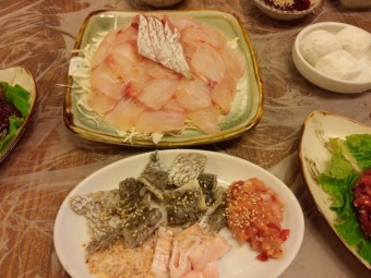 활오징어회 산오징어물회