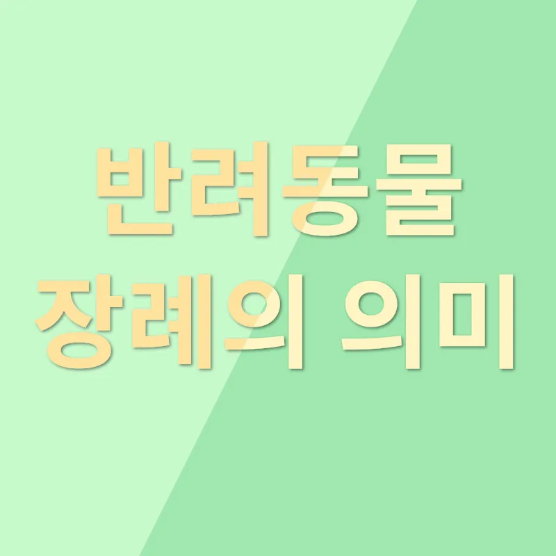 반려동물 장례_1