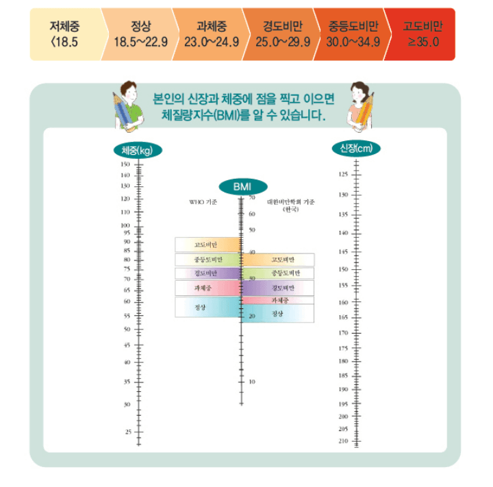 BMI지수-비만도표