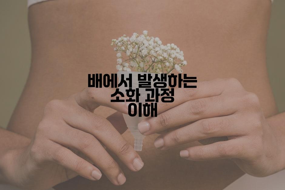 배에서 발생하는 소화 과정 이해
