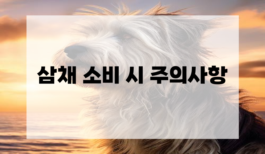 삼채 소비 시 주의사항