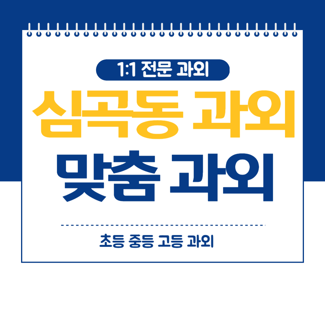  부천 심곡본동 영어과외 중등 수학 고등 국어 과학 화상 방문과외