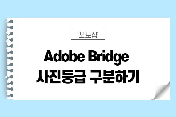  [포토샵 팁] adobe bridge로 사진등급 구분하기