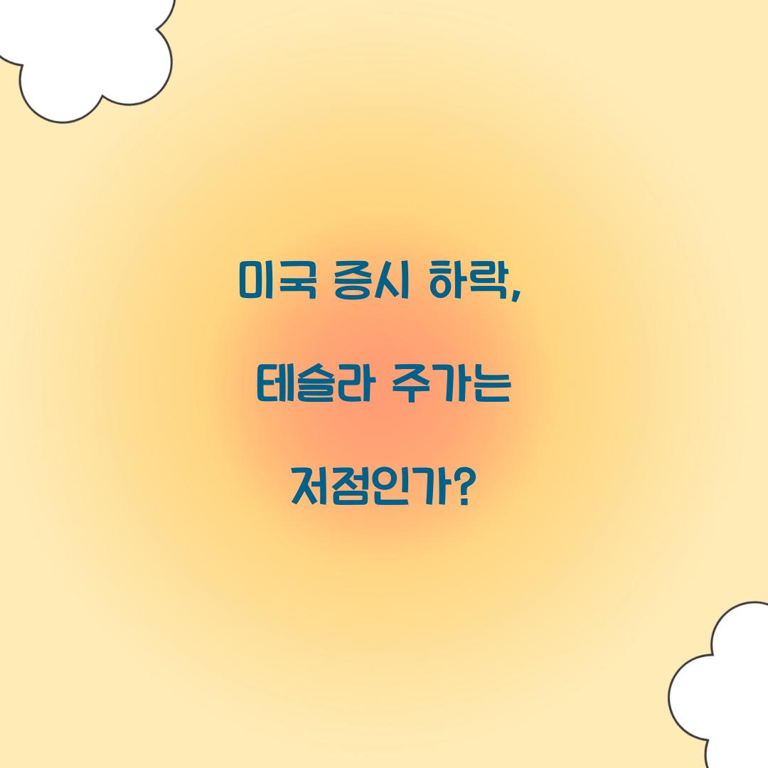 미국 증시 하락 테슬라