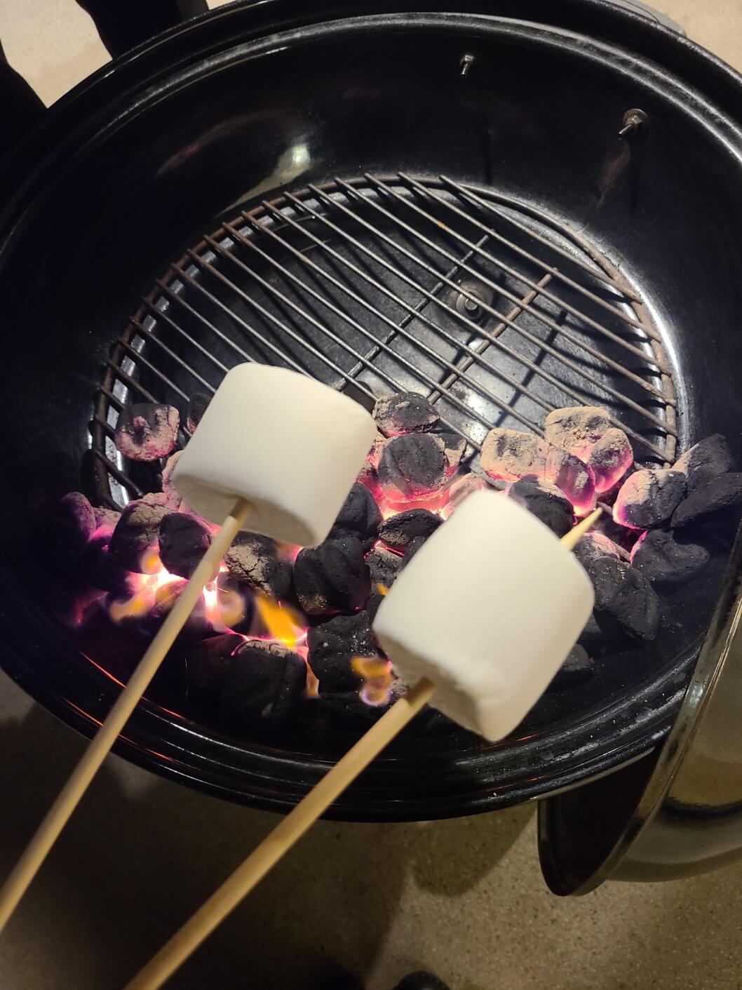 책속에풍덩-야외-바비큐