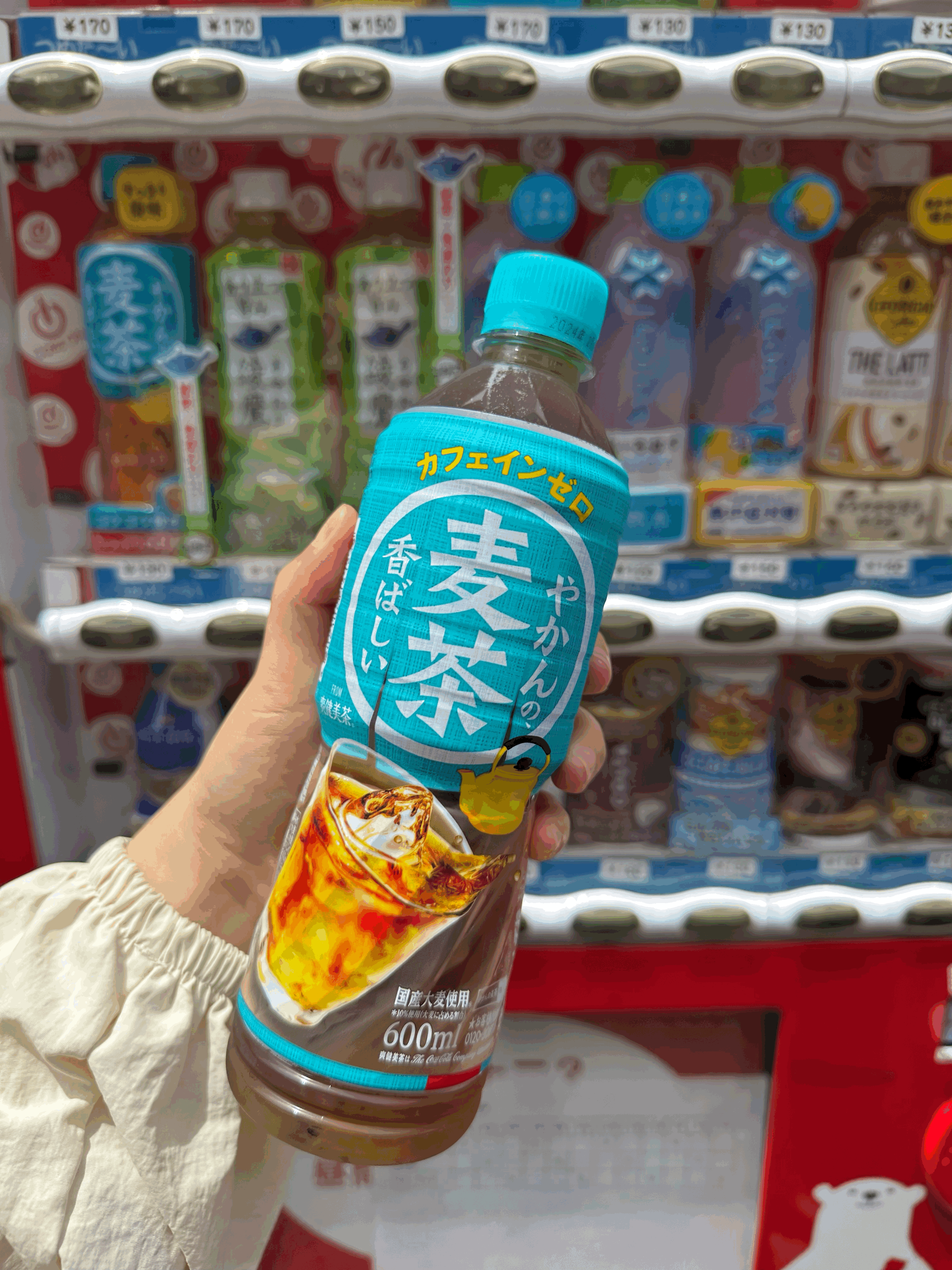 츠키지시장 자판기 보리차 일본도쿄여행