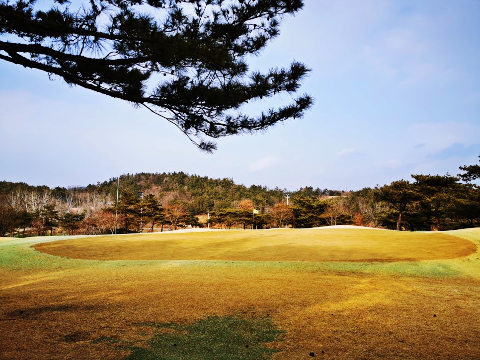 마제스티 1박2일 함평 엘리체CC 73