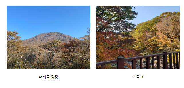  오늘(26일), 한라산 단풍 절정