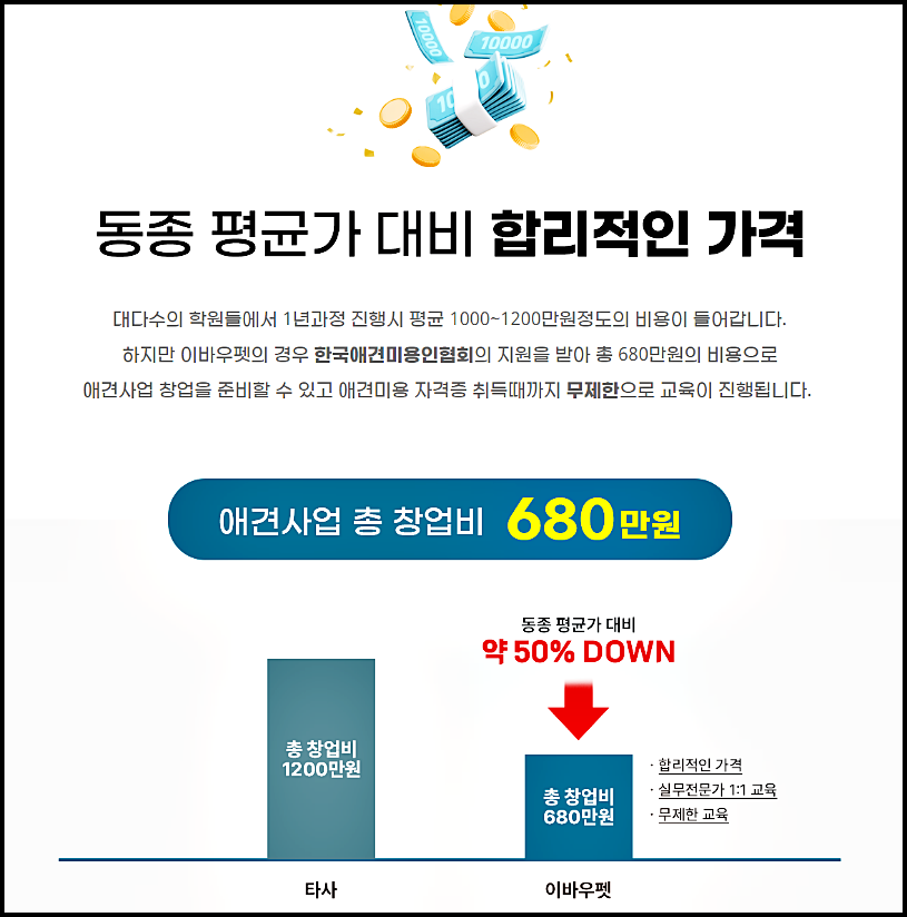 광주강아지미용학원추천