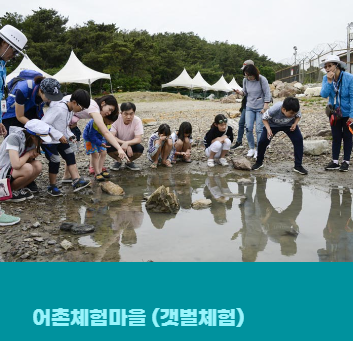 화성 뱃놀이 축제 기본 정보, 공연 및 체험 프로그램 안내 (feat. 주차,해적선)