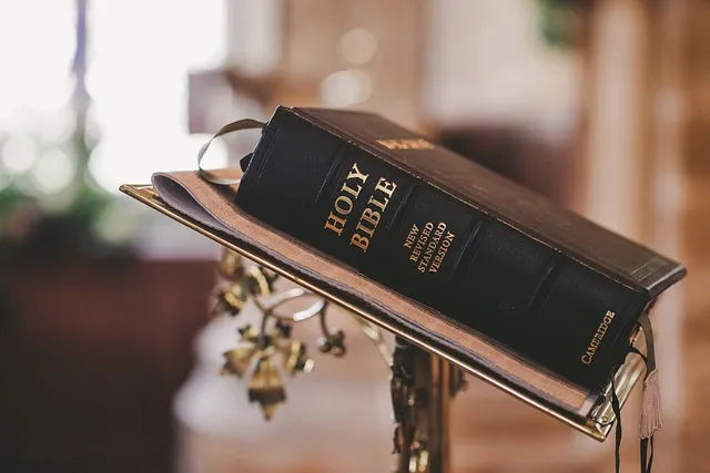 요한복음 16장 33절 읽기 - 세상에서는 너희가 환난을 당하나 담대하라 내가 세상을 이기었노라_6
