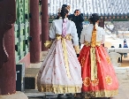 경복궁 야간개장