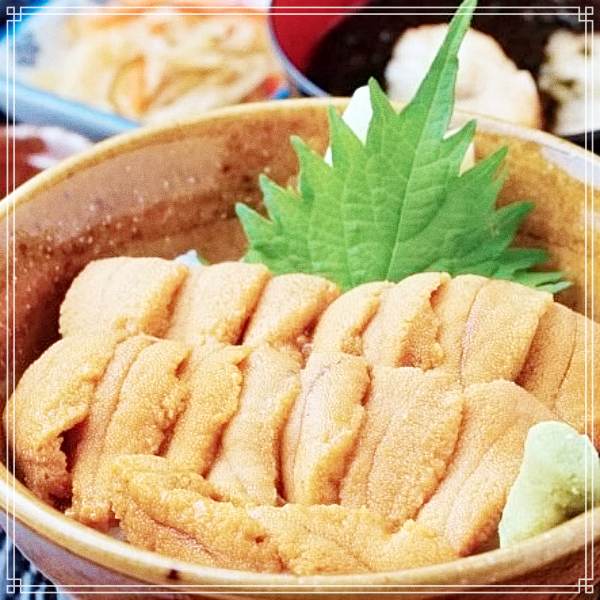  MBN 생생정보 마당 백령도 자연산 성게알, 우니 현장치GO 인천 만수동, 남동구청 근처 추천 가게 담치, 홍합, 섭, 해삼, 전복, 소라, 생우럭 미역국, 물회 1402회 방송 정보