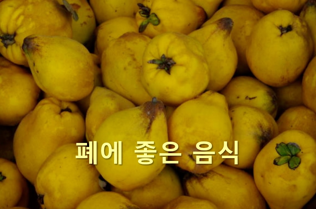  폐렴에 좋은 음식과 폐렴에 안 좋은 음식
