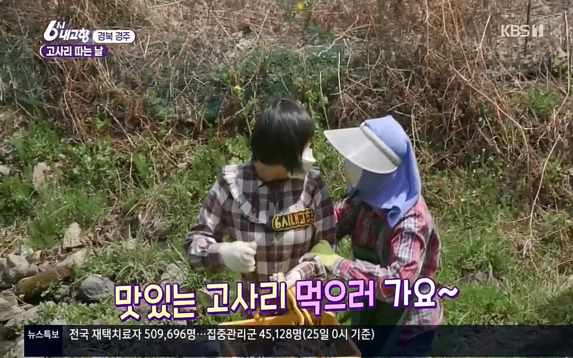 6시 내고향.E7518.220426p.H264-F1RST.mp4_20220504_190755.594.jpg