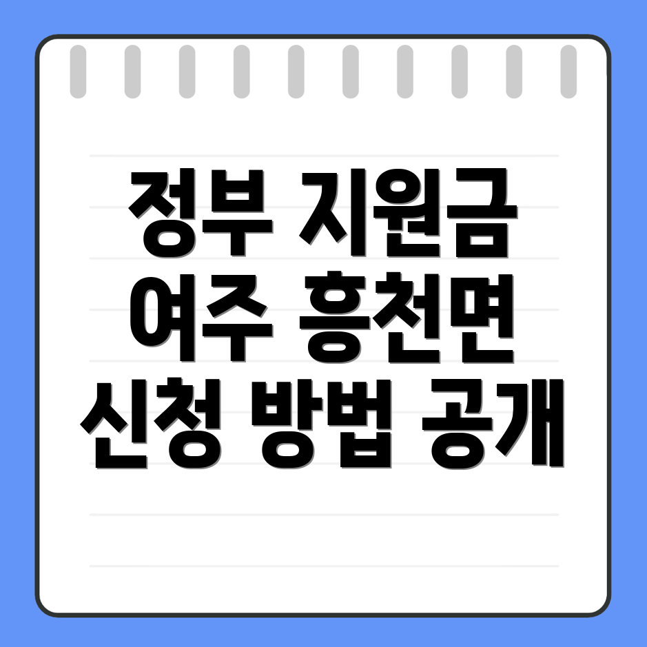 정부지원금