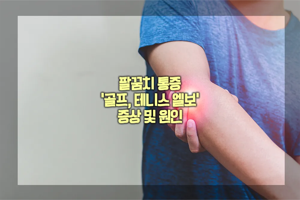 팔꿈치 통증 골프 테니스 엘보 증상 원인