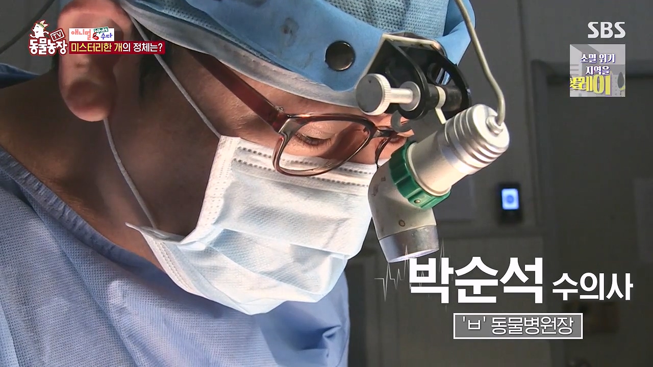 TV 동물농장.E1187.240902p-NEXT.mp4_20240901_153839.035.jpg