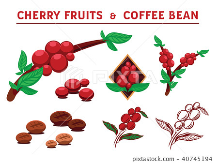 커피(coffee) 이미지